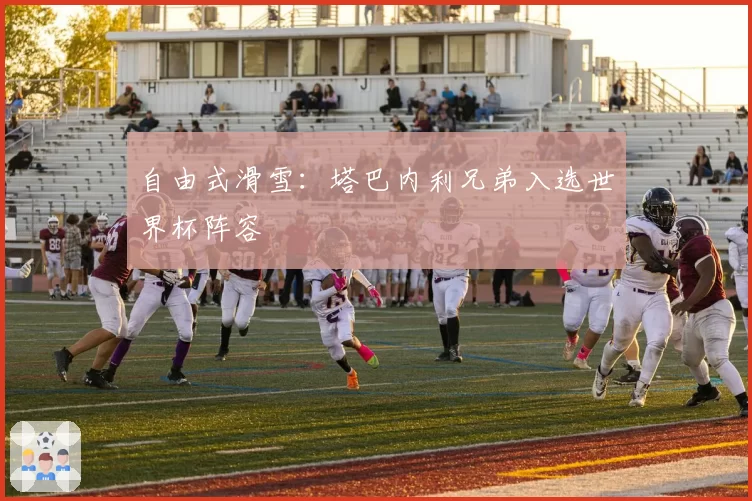 自由式滑雪：塔巴内利兄弟入选世界杯阵容