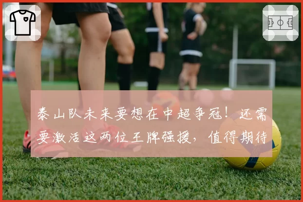 泰山队未来要想在中超争冠！还需要激活这两位王牌强援，值得期待