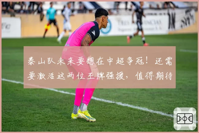 泰山队未来要想在中超争冠！还需要激活这两位王牌强援，值得期待